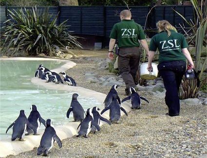 Prenotare un hotel in London Zoo