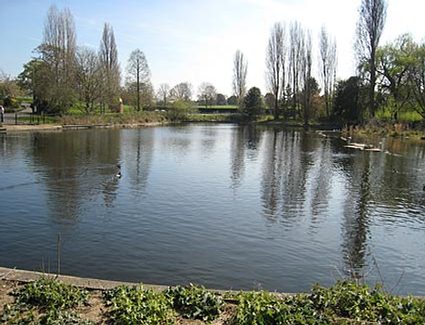 Prenotare un hotel in Brockwell Park