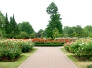 Queen Marys Gardens