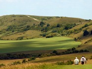 Country Side