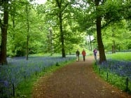 Top 6 things to do in London in Spring