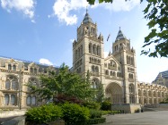 Love in the Natural World, Natural History Museum, South Kensington