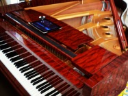 Southwark Cathedral Concerts