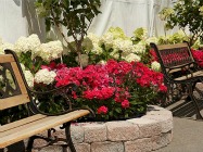 RHS Chelsea Flower Show, Royal Hospital, Chelsea