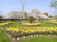 Kew the Movies, Kew Gardens, Richmond