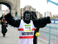 Great Gorilla Run