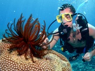 London International Dive Show 2015