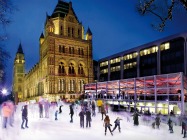 Natural History Museum Ice Rink at Natural History Museum