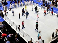 Ski and Snowboard Show