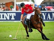 Polo in the Park