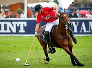 Polo in the Park