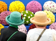 RHS Chelsea Flower Show
