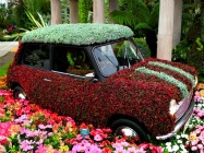 RHS Chelsea Flower Show