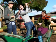 Spitalfields Music Summer Festival