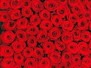 Valentines Day Valentines Day