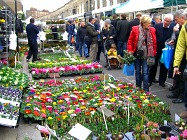 Columbia Road Flower Market