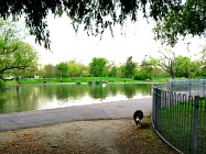 Eagle Pond and Mount Pond