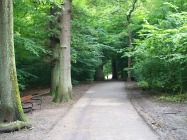 Highgate Wood